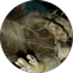 Profile photo of Jodi White