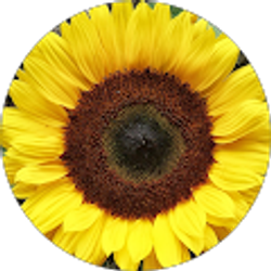 Profile photo of Jade Oceana