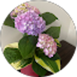 Profile photo of catherine kirugu