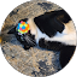 Profile photo of James P