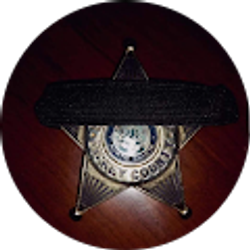 Profile photo of Steven Horner