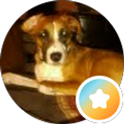 Profile photo of Reese Polkabla