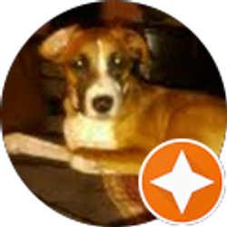 Profile photo of Reese Polkabla