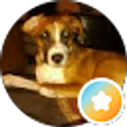 Profile photo of Reese Polkabla