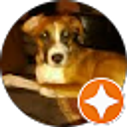 Profile photo of Reese Polkabla