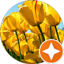 Profile photo of Te Mck