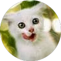 Profile photo of Cassie Kyker