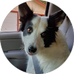 Profile photo of Paloma Torralbo