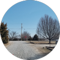 Profile photo of Liz Loffland