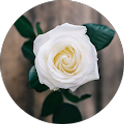 Profile photo of Lisa Mann