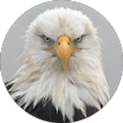 Profile photo of Craig McClain