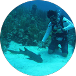 Profile photo of Ray Nunez