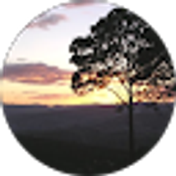 Profile photo of Steve Brockmeyer