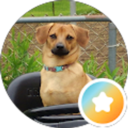 Profile photo of Phil Abner