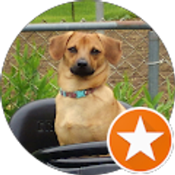 Profile photo of Phil Abner