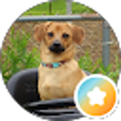Profile photo of Phil Abner