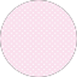 Profile photo of Addison Paige
