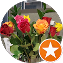 Profile photo of Daria Sorgine