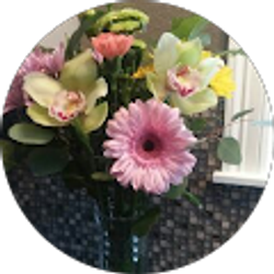 Profile photo of Anne Kramer