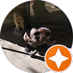 Profile photo of Teresa Beer