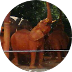 Profile photo of Joshua Hudson