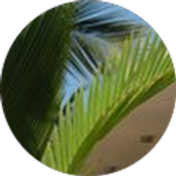 Profile photo of Jenny C