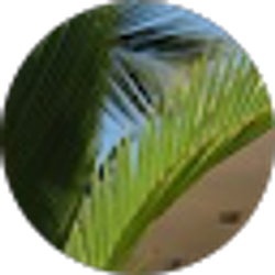 Profile photo of Jenny C