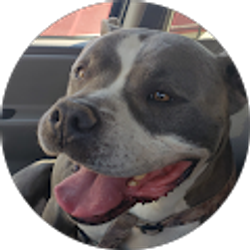 Profile photo of Christian Marquez