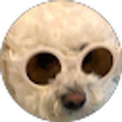 Profile photo of Sarah McKeever