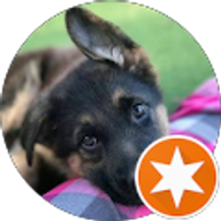 Profile photo of Rusty23222