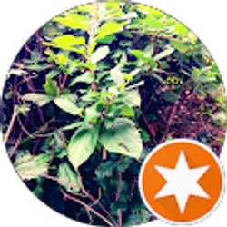 Profile photo of Rainey J