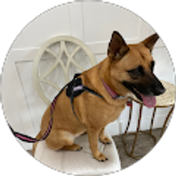 Profile photo of TX Blackjack