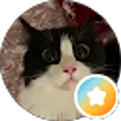 Profile photo of BooBoo KittyFkk