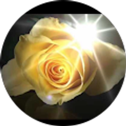 Profile photo of Erica Lumson