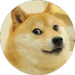 Profile photo of Brandon Hahn-Carter