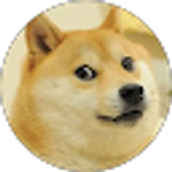 Profile photo of Brandon Hahn-Carter