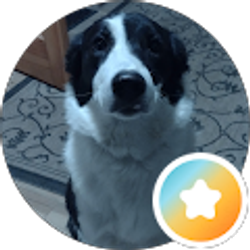 Profile photo of SunInTheBeeches