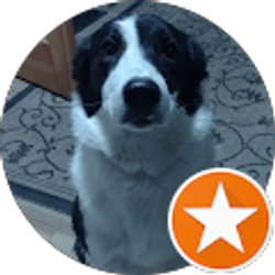 Profile photo of SunInTheBeeches