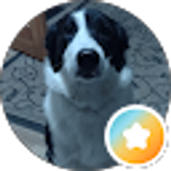 Profile photo of SunInTheBeeches