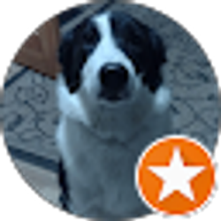 Profile photo of SunInTheBeeches