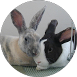 Profile photo of Patty Smith