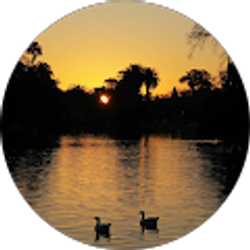 Profile photo of Carlos A