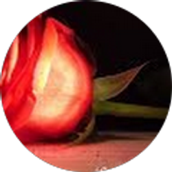 Profile photo of Lupe Torres