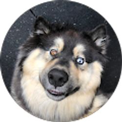 Profile photo of Willow Pultro