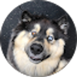 Profile photo of Willow Pultro