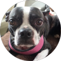 Profile photo of D. Sandlin