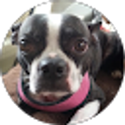 Profile photo of D. Sandlin