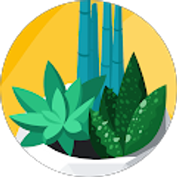 Profile photo of Mekuria Fetula