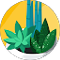 Profile photo of Mekuria Fetula