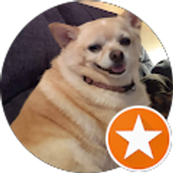 Profile photo of Molly Greene